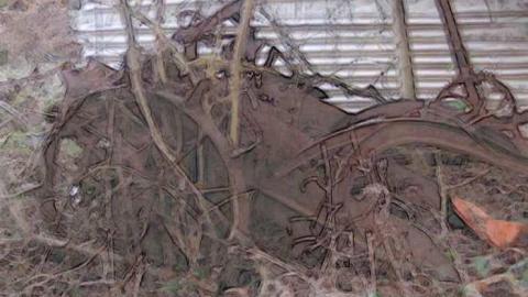 Fall 2011 - Mt-Wolfe-Farm12.jpg