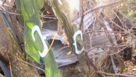 Fall 2011 - Mt-Wolfe-Farm16.jpg