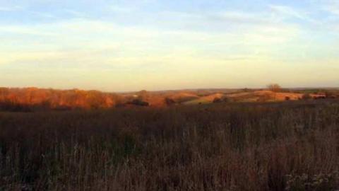 Fall 2011 - Mt-Wolfe-Farm17.jpg