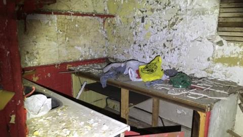 August 1, 2019 - A03B8EE0-9691-4454-8E13-DA91323EE8F1.jpeg