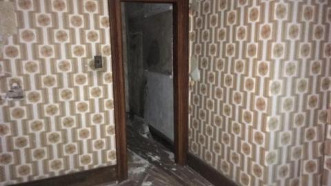 August 1, 2019 - 2C8786E0-A546-4A39-9AB4-78DEEDBA0A51.jpeg