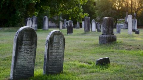 Photo from Craig St Cemetery 