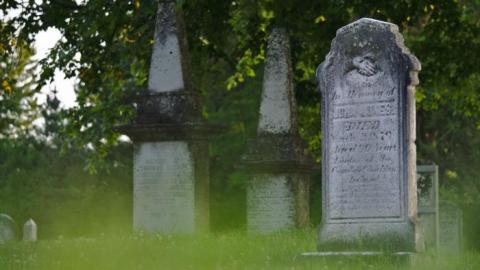 Photo from Craig St Cemetery 