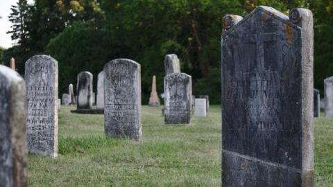 Photo from Craig St Cemetery 