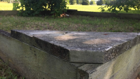 August 2019 - Jake-Lubbers-Field12.png