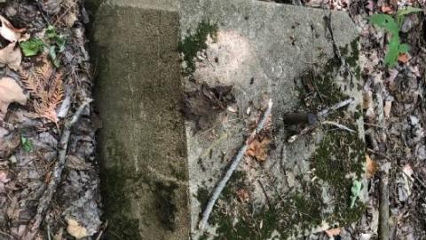 Kyle B Gallery - Oxtongue-Forest-Ranger-Cabin5.jpeg