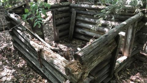 Photo from Kyle B Gallery