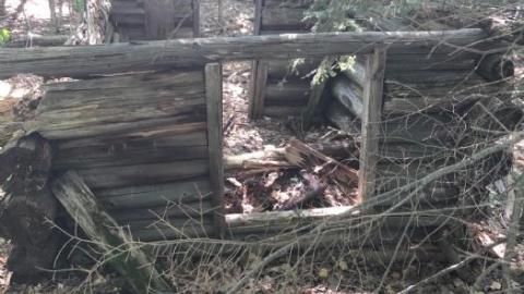 Kyle B Gallery - Oxtongue-Forest-Ranger-Cabin8.jpeg