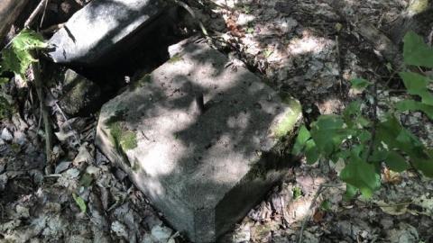 Kyle B Gallery - Oxtongue-Forest-Ranger-Cabin10.jpeg