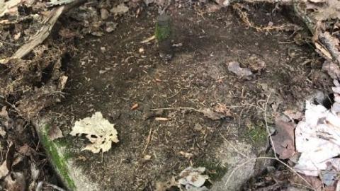 Kyle B Gallery - Oxtongue-Forest-Ranger-Cabin12.jpeg