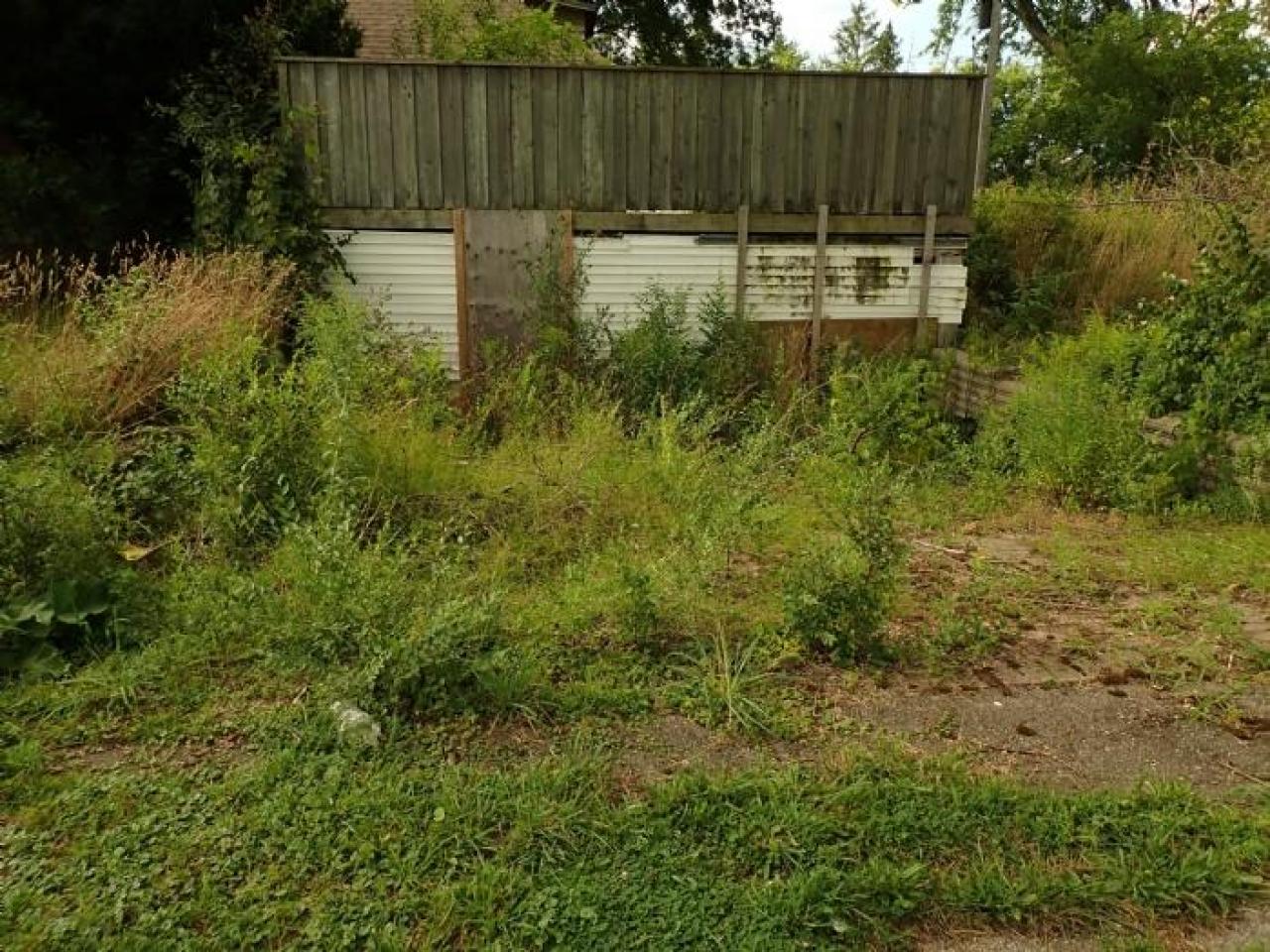 August 2019 - 13.jpg