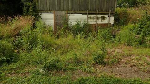 August 2019 - 13.jpg