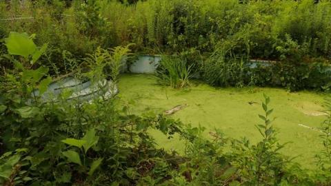 August 2019 - 15.jpg