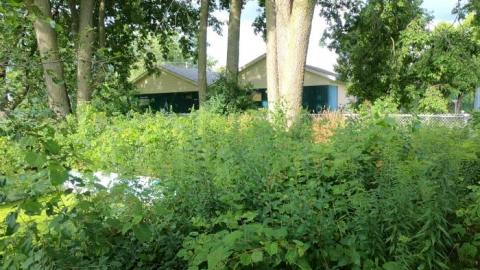 August 2019 - 17.jpg