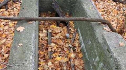 Long Branch Arsenal Lands photo 4