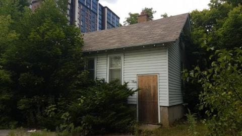 August 2019 - 16.jpg