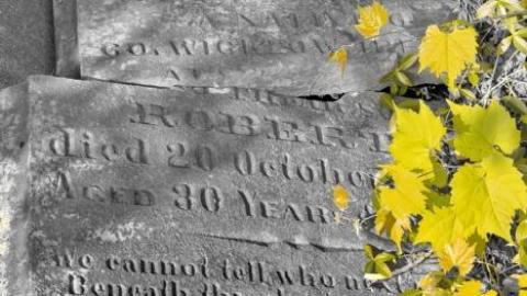 Centenary (pioneer) Cemetery cover photo