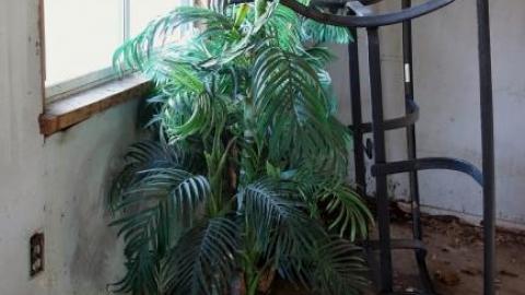 Faith That Sticks '18 - Someones-dream-home26.jpg