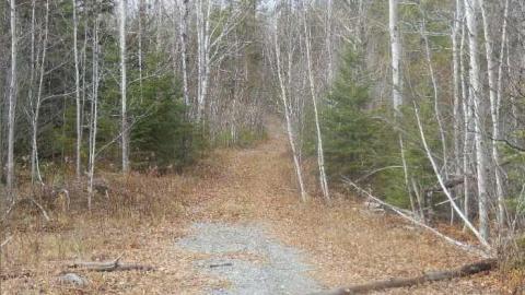 Second Street photo 4