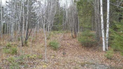 November 11, 2011 - Second-Street4.jpg