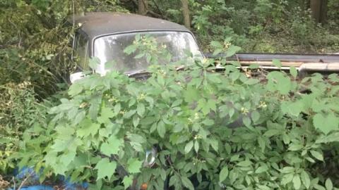 Locked Away ‘19 - E829859F-8750-40CB-843F-093D940F6902.jpeg