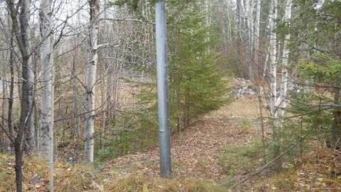 Second Street - Temagami, Ontario