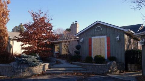 Life Began In A Garden '18 - Hypnosis--Counselling-No-More25.jpg