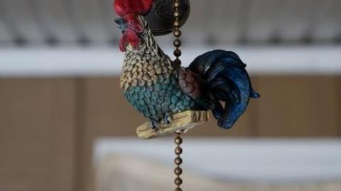 Photo from Life Began In A Garden '18