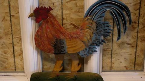 Photo from Life Began In A Garden '18