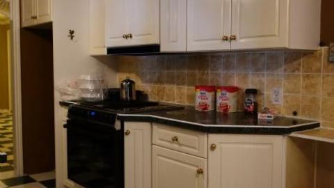 Life Began In A Garden '18 - Hypnosis--Counselling-No-More38.jpg