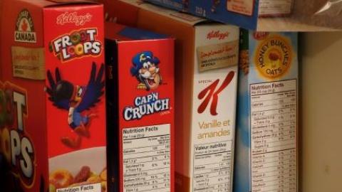 Life Began In A Garden '18 - Hypnosis--Counselling-No-More39.jpg