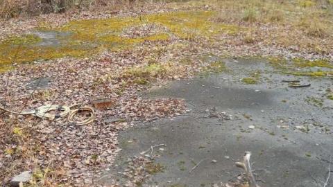 November 11, 2011 - Second-Street16.jpg