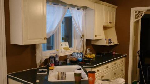 Photo from Life Began In A Garden '18