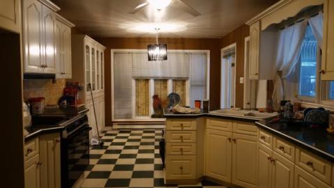 Life Began In A Garden '18 - Hypnosis--Counselling-No-More3.jpg