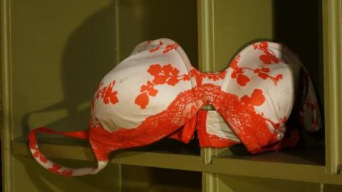 Life Began In A Garden '18 - Hypnosis--Counselling-No-More42.jpg