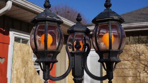 Life Began In A Garden '18 - Hypnosis--Counselling-No-More14.jpg