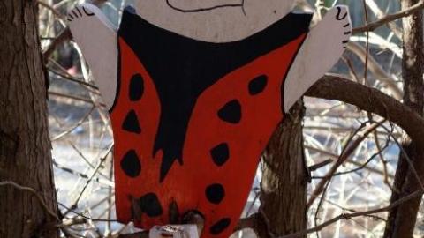 Life Began In A Garden '18 - Hypnosis--Counselling-No-More16.jpg