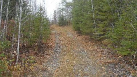 November 11, 2011 - Second-Street17.jpg