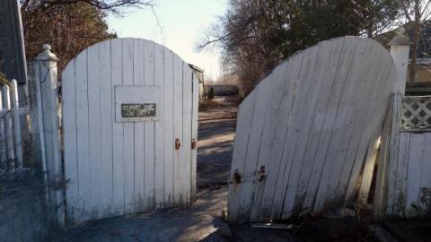 Life Began In A Garden '18 - Hypnosis--Counselling-No-More18.jpg