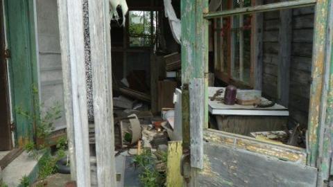 Long Grass - P1020750.jpg