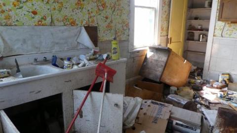 Long Grass - P1020752.jpg