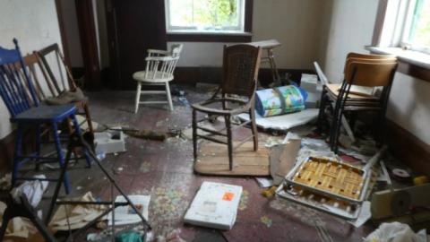 Long Grass - P1020757.jpg