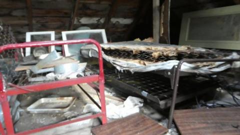 Long Grass - P1020769.jpg