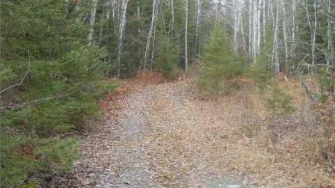 Second Street photo 5