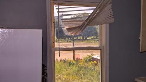 Purple and Teal - IMG_7718.jpg