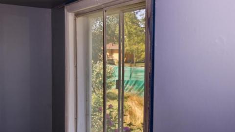 Purple and Teal - IMG_7720.jpg