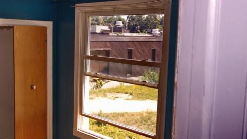 Purple and Teal - IMG_7721.jpg