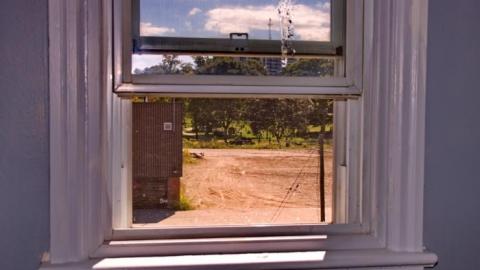 Purple and Teal - IMG_7723.jpg