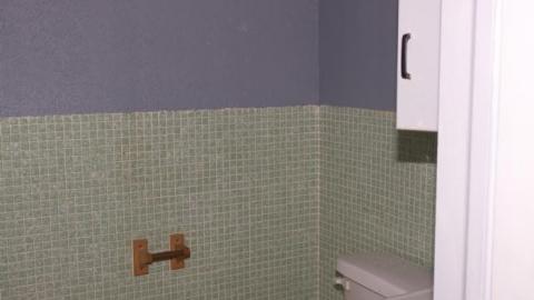 Purple and Teal - IMG_7724.jpg