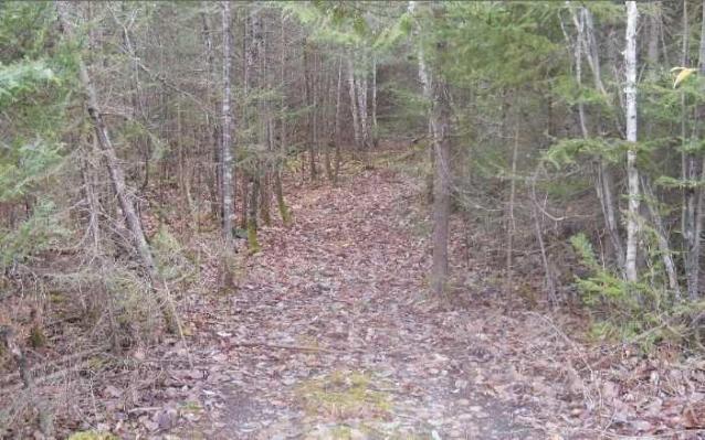 Second Street photo 4